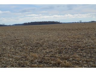 Property photo 34 - LAND AUCTION - 276.5+/- ACRES OFFERED IN 5 TRACTS IN EAST ALLEN COUNTY